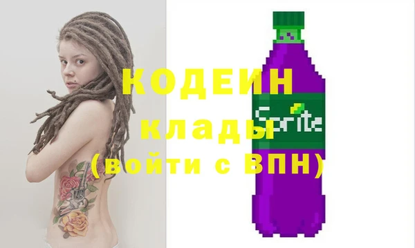 шишки Бородино